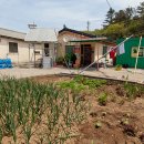 잠자리펜션민박 이미지