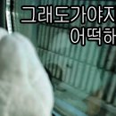 이디야커피청주 - 청주시 상당구 중고개로 119 | 이디야커피청주