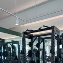 웰러스짐 이미지