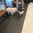 365동물병원 위례점 이미지