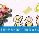 아이쇼클린 이미지