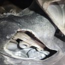 비메크(B MECH) | BMW 530i G30 냉각수 누수 , 냉각수 부족, 워터펌프 브라켓 누수