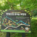천생산성 유아숲체험원 이미지
