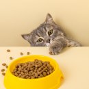 씨제이사료 이미지