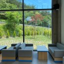 발레나식스 이미지