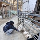 세원농장 이미지