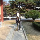 다쓸다 이미지