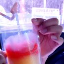 횡성목장 이미지