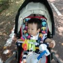 딩동댕 플레이 키즈스쿨(10~16개월) 이미지