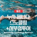 서부차량관리 | 발리 누사페니다 투어 스노쿨링 서부섬 일정 및 예약 팁