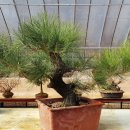 해송4로 이미지