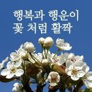 💖 3월 31일 금요일 간추린 아침뉴스입니다 이미지