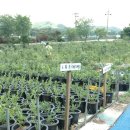 팔봉농원 이미지