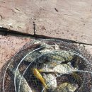 아빠캠핑가 이미지