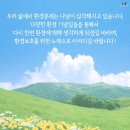 온담화 이미지