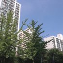 한라아파트 이미지