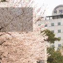 광신대학교 사회복지대학원 네이버블로그