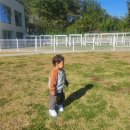 율마로 | [김포카페] 16개월아기와 함께 다녀온 포레리움, 빈로드 카페 내돈내산 후기