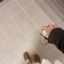 땅땅치킨김천혁신점 | 4월 여행 : 김천 (ft. 연화지축제/주차꿀팁/실시간연화지개화상황보는법/김천애견동반맛집/김천맛집)