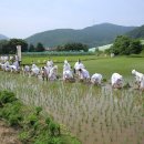 고성농요 정기공연 | 국가 무형문화재인 고성 농요 보존회 정기공연