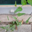 맘스코칭수학교습소