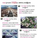 내천농장 네이버블로그