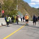 남이섬 더 휴 이미지