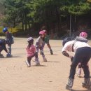 성산 코리아 태권도 이미지