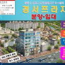 경서 태권도 이미지