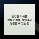 연세고덕에스치과의원 | 건강한 치아를 위한 관리법, 평택에서 실천할 수 있는 팁