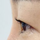 화인빌딩 | [논현] 화인뷰티 속눈썸펌 후기