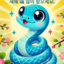 대치2-113 이미지