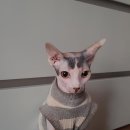 물멍물멍 이미지