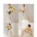 천천동 265-5~천천동 544 | [Wedding] 라비에벨 홀패키지 스튜디오 고민 / 스드메 고민 / 라비에벨 연계 스튜디오/스튜디오 결정은...
