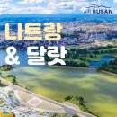 🌴 베트남 나트랑&amp;달랏 🌴 3박5일! 649,000부터~ 이미지