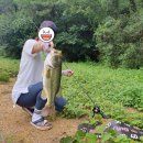 다이와 타툴라XT 실 사용 후기