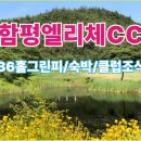 함평엘리체CC 이미지