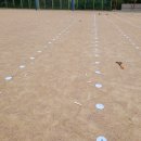 고양신일초등학교 이미지