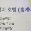 위드멍 애견유치원 이미지