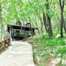 거제자연휴양림 이미지