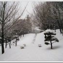 서인공원 이미지