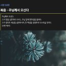 [시편 98편] 복음 - 주님께서 오신다 이미지