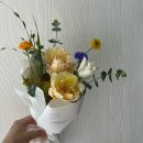 보태니컬 플랜(Botanical Plan) 이미지