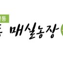 세상매실