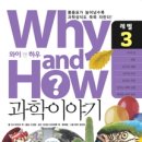 와이앤 이미지