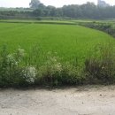 여주-0057 네이버블로그