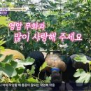 으뜸농장 네이버블로그