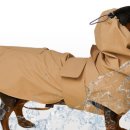 도그엔젤 이미지