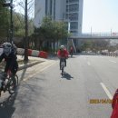 아랫배랭이로 이미지