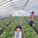 준오농장 이미지